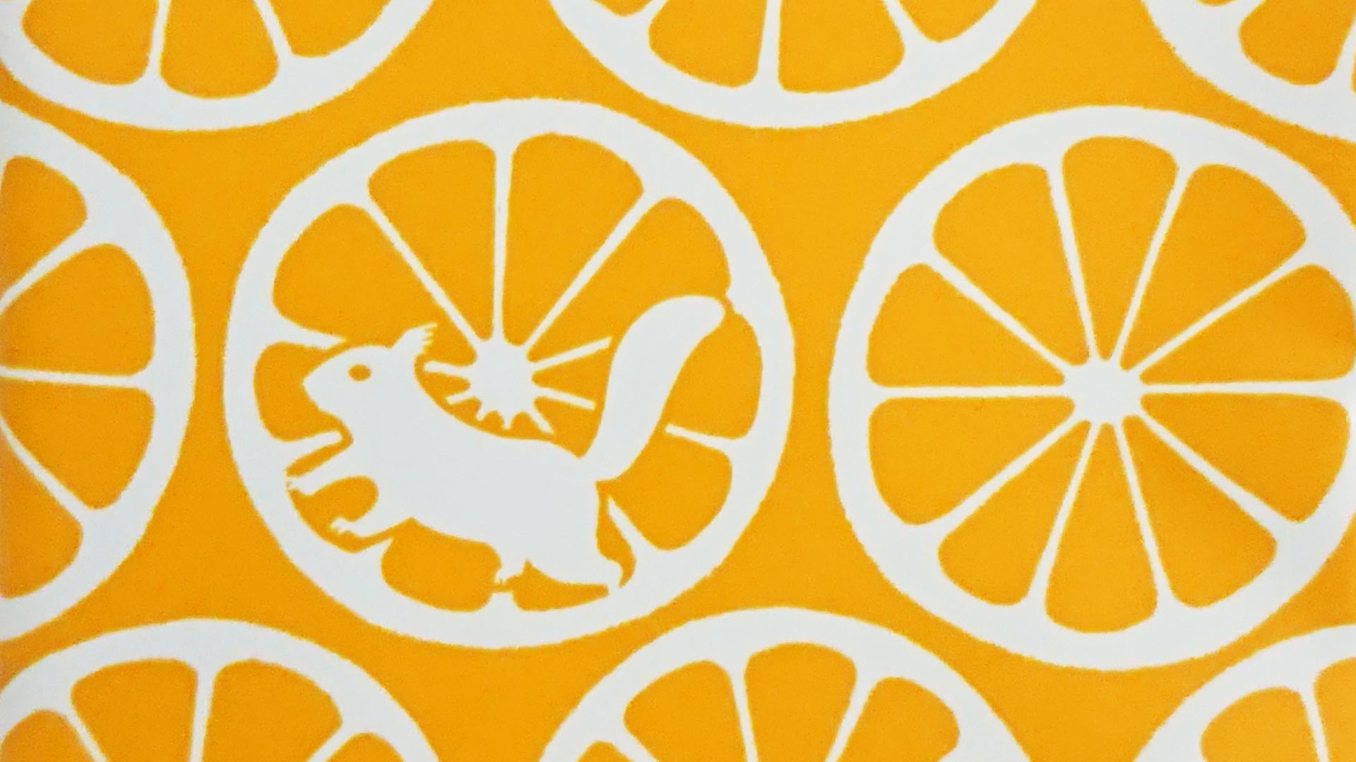 フィンランドバスソーク　オーロラオレンジのバスソルトの表紙