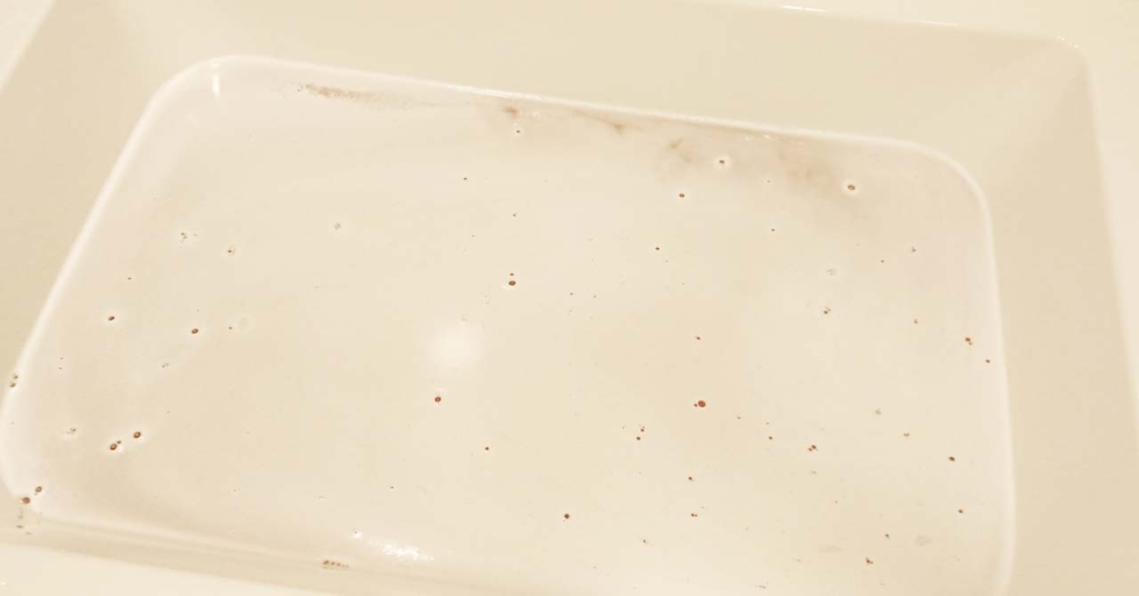 ドレスナーエッセンス死海のバスソルト「ガラナ＆ローズマリー」入浴剤の湯（泡）